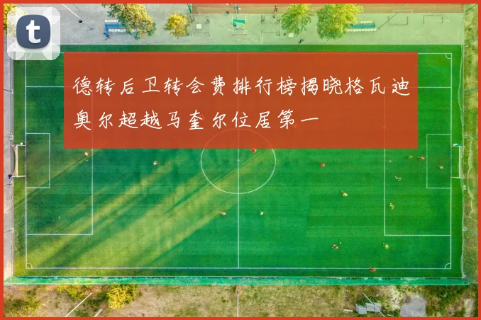 德转后卫转会费排行榜揭晓格瓦迪奥尔超越马奎尔位居第一