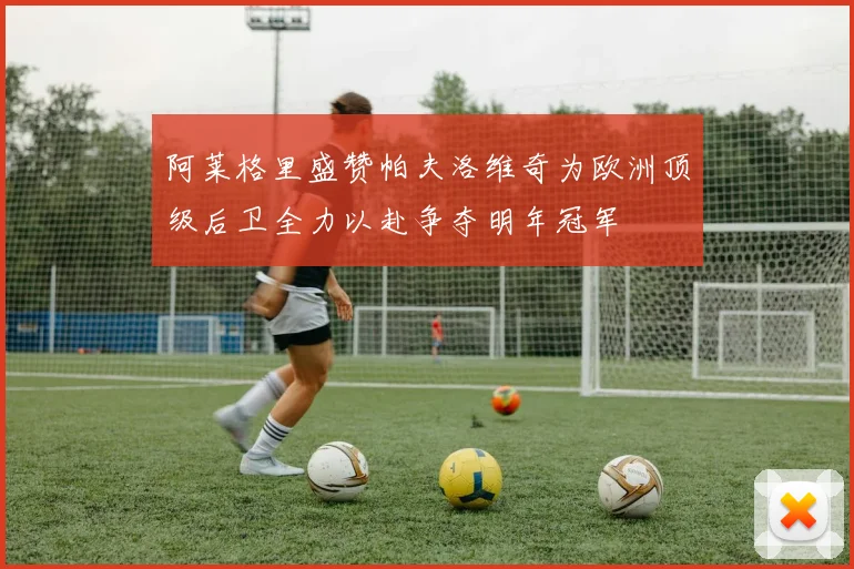 阿莱格里盛赞帕夫洛维奇为欧洲顶级后卫全力以赴争夺明年冠军