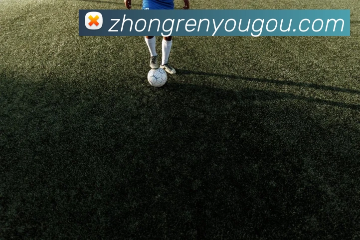 奖项图2